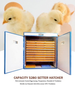 Máy Ấp Trứng Gà Chạy Bằng Năng Lượng Mặt Trời Với Tấm Năng Lượng Mặt Trời Máy Ấp Trứng Ở Ethiopia - Product Image 5