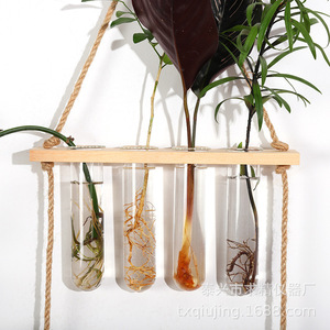 Seeking Excellence 2-Layer Wall-Mounted Hydroponic <b>Plant</b> Decor Wooden <b>Frame</b> Test Tube Glass Container Creative Home Decoration - Product Image 4