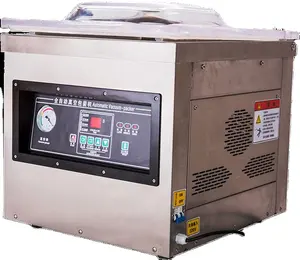 Máquina automática de envasado al vacío de Nitroge, DZ-400 de sobremesa, para envasado de alimentos y carne de pescado