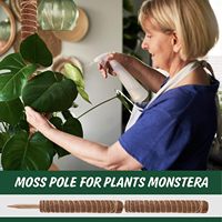 Support en plastique Coco Moss Pole de style moderne pour plantes grimpantes Monstera, design empilable