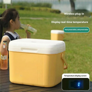 Customized Logo 5L/6L Modern <b>Portable</b> Eco-Friendly Refrigerator <b>Freezer</b> for Business & Corporate Gifts - Product Image 5