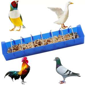 Fabricant auge d'alimentation pour volaille pour pigeons, mangeoire Portable en plastique pour pigeons, caille, oiseaux - Product Image 6