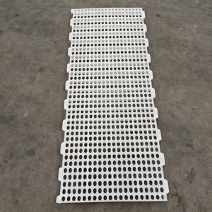 พื้นพลาสติกแบบมีร่องสำหรับเล้าไก่แบบใหม่ อายุ 1 วัน สำหรับฟาร์มเลี้ยงไก่เนื้อ รับประกัน 1 ปีสำหรับลูกไก่ - Product Image 2