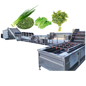 Secadora de Malla Continua de Gran Capacidad para Lechuga, Cilantro, Espinaca y Vegetales de Hoja - Product Image 1