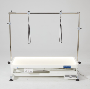 PetFit Grande table de toilettage professionnelle lumineuse à LED pour chien avec télécommande Table de toilettage électrique pour chien et chat - Product Image 2