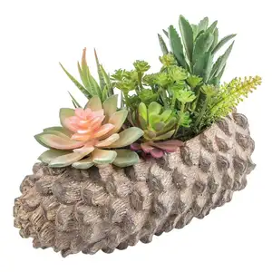 Imitación suculentas plantas artificiales con pino en forma de cono de la olla para Decoración