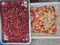 Veel Populaire Fabriek Prijs Automatische Zaden Separator Passie Fruit Huid Verwijderen Proces Granaatappel Peel Remover Machine
