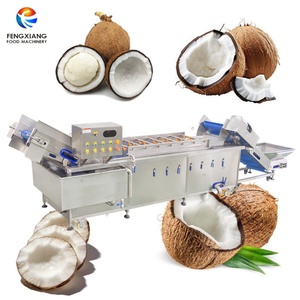 2000-300KG/H Industrial Customized Coconut Bubble Washing <b>Machine</b> Coconut Meat Washer <b>Machine</b> for Coconut <b>Process</b> - Product Image 1