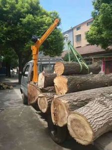 Derek Pengangkat Mobil Mini 12V, Derek Mobil Kecil 500Kg dengan Harga Bersaing - Product Image 3