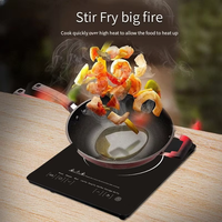 Ventes d'usine populaires Plaque chauffante autonome Microlite Cuisinière électrique à induction à chauffage rapide 2200W