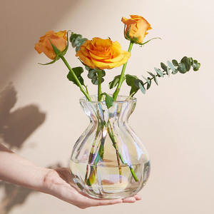 घरेलू सजावट के लिए घर के उपयोग के लिए हल्के लक्जरी और न्यूनतम ग्लास पारदर्शी vase - Product Image 2