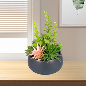 Oh fornitore di arti all'ingrosso decorazione per la casa simulazione di <span class=keywords><strong>piante</strong></span> in vaso artificiali misto <span class=keywords><strong>piante</strong></span> succulente in vaso di ceramica - Product Image 1