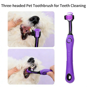 <span class=keywords><strong>Kit</strong></span> de toilettage pour animaux de compagnie 9 pièces : peigne à aiguilles en acier, ciseaux, gants de bain, brosse, coupe-ongles, brosse pour enlever les poils, chien, chat - Product Image 4