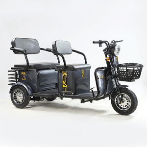 Scooter électrique à 3 roues fabriqué en Chine, tricycle électrique pour adultes, double batterie, vélo pour personnes handicapées, tricycle électrique pour les déplacements en ville - Product Image 4