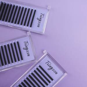 Extensions <span class=keywords><strong>de</strong></span> <span class=keywords><strong>cils</strong></span> artificiels ultra-fines, plateaux d'extensions <span class=keywords><strong>de</strong></span> <span class=keywords><strong>cils</strong></span>, <span class=keywords><strong>cils</strong></span> londoniens, extensions <span class=keywords><strong>de</strong></span> <span class=keywords><strong>cils</strong></span> en velours coréen PBT - Product Image 3