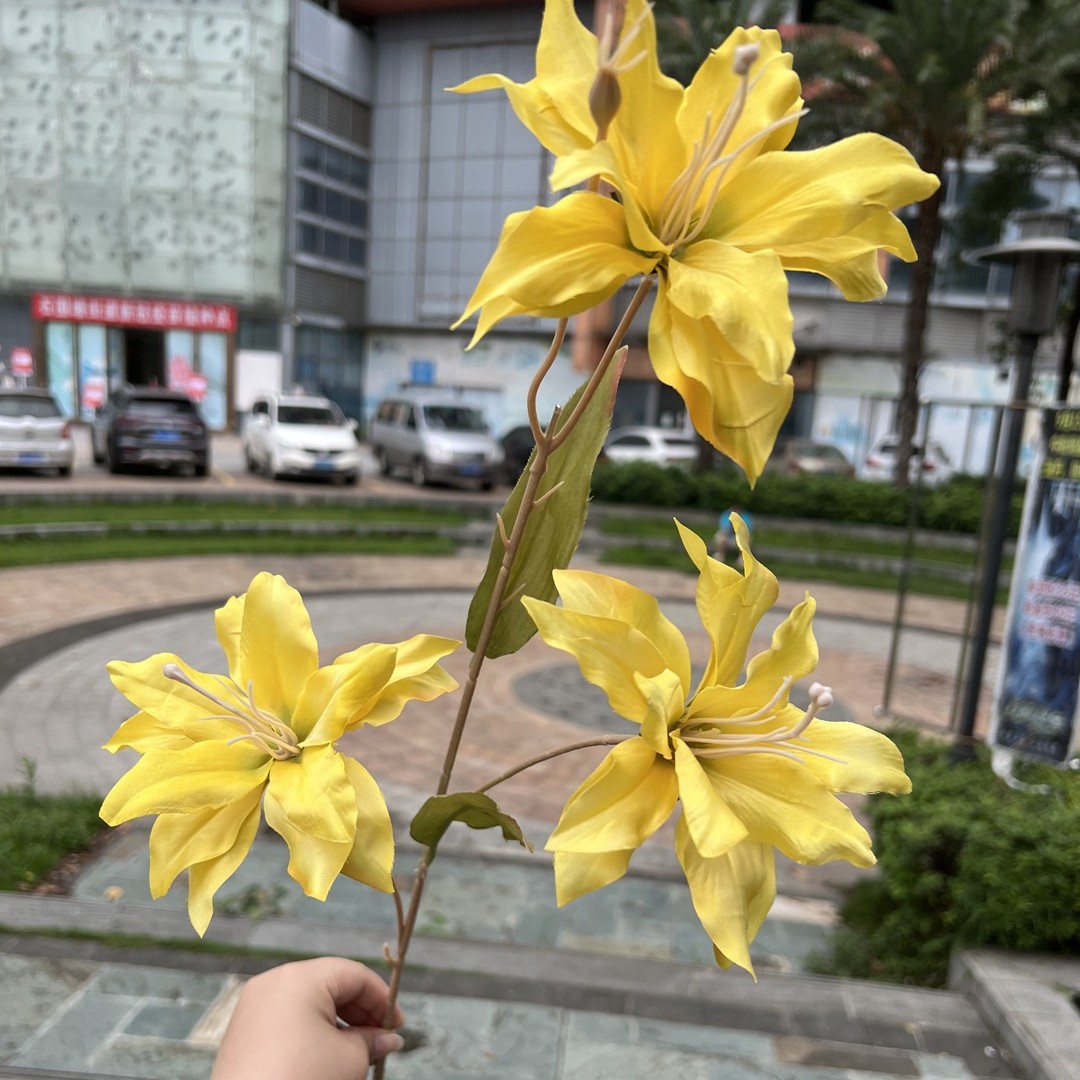 3Head Xiyan Lily Yellow