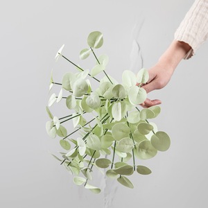 Plante artificielle CallaFloral en feuilles d'eucalyptus blancs et verts en plastique, décoration de mariage style INS - Product Image 2