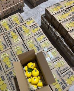 Tự Nhiên Citrus Peel Và Chanh Bảo Quản Với Đường Đá 300G Truyền Thống Simmered Dán Trong Glass Jar Cho Nước Giải Khát - Product Image 2