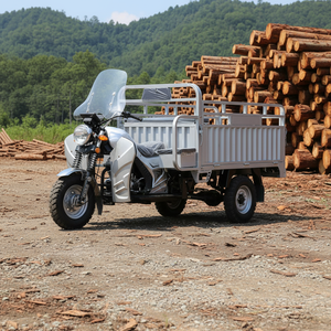 Import Wholesale Open <b>Body</b> Freight Motorcycle Tricycle with Sidecar Petrol Transport - Product Image 1