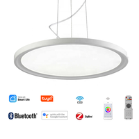 Smart Dimmable Slim Round Encastré Décor LED Grand Près du Plafonnier avec Télécommande pour la Maison Chambre à Coucher Salon