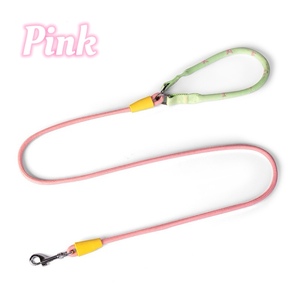 New Fashionable Simple Pet Traction Rope Dog &amp; <strong>Cat</strong> Leash Chain Durable with Lovely Modern Styles Decorative Ribbons - Product Image 3