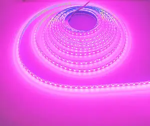 Ktrlight - Fita LED inteligente à prova d'água para decoração de casa, 24V, 12V, 5V, branco quente, com luzes noturnas, Smd 2835 tiras de luz LED