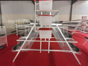 Vendita calda un tipo automatico di bambino pulcino gabbia di pollo cova cova giorno vecchio pulcino piccolo pollo - Product Image 4