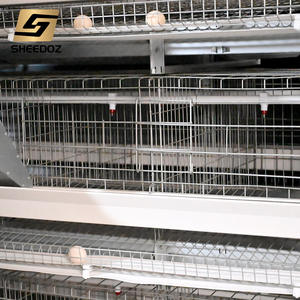 <span class=keywords><strong>Cage</strong></span> à poules pondeuses pour élevage en batterie, équipement d'élevage pour fermes avicoles - Product Image 4