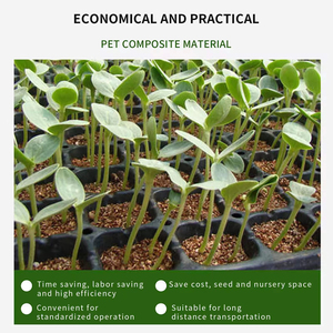 Bandeja de germinación de plástico PET de alta calidad para microvegetales, 50 celdas, para semillero, bandeja de plástico para macetas de flores, venta al por mayor - Product Image 2