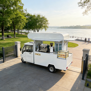 Camion de vente de desserts et de glaces de haute qualité, <span class=keywords><strong>neuf</strong></span>, à vendre |   Camion-cantine mobile avec équipement de cuisson complet, exportation vers les États-Unis/l'Australie - Product Image 6