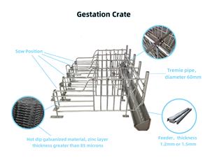 Ventes directes d'usine Caisses de gestation Vente de liquidation Cages de gestation en acier de type H Élevage de porcs Service à guichet unique Hot-Dip - Product Image 6