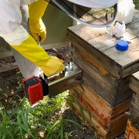 Outil d'apiculture, vaporisateur d'acide oxalique pour le contrôle des varroas chez les abeilles