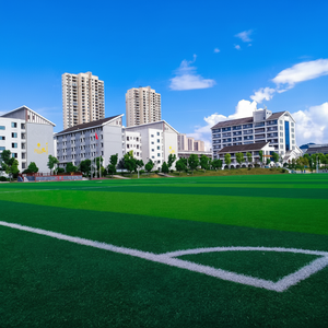 Venta caliente grande personalizado Putting Green césped sintético al aire libre patio trasero Campo de Golf Artificial Putting Green Césped largo y corto - Product Image 1