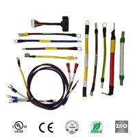 HINICABLE HYH-INT-062 OEM Faisceau de câbles électriques durable et personnalisable pour l'électronique industrielle, conducteur en cuivre CE