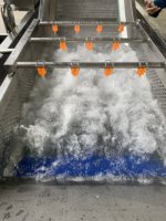 Volledig automatische groente- en fruitwasmachine met PLC-besturing, food grade, capaciteit 500 kg/uur, voor groenteverwerking.