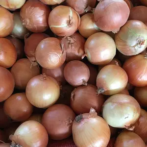 Potongan baru 2024 bawang merah segar dan Bawang kuning harga putih per ton di Cina dari eksportir