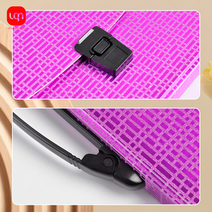 Wholesale China Factory 13 Pocket Document <strong>Folder</strong> Plastic A4 <strong>Size</strong> Paper Expanding File <strong>Folder</strong> - Product Image 4