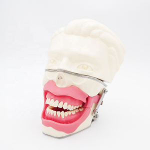 Model pelatihan anestesi Oral simulasi rahang gusi realistis untuk Model anestesi konduksi gigi latihan injeksi - Product Image 3