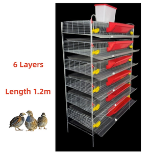 Équipement d'élevage, équipement avicole, équipements agricoles, cages à cailles pour la production d'œufs, cages à cailles pondeuses, <span class=keywords><strong>cage</strong></span> de type H - Product Image 1