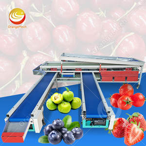 Máquina Clasificadora de Dátiles ORME, Máquina Procesadora de Frutas, Máquina Pequeña para Limpiar y Clasificar Naranjas y Tomates - Product Image 1