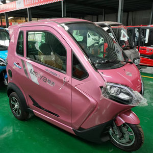 Modèle <span class=keywords><strong>2022</strong></span> Nouveau Tricycle Électrique à 3 Roues avec Cabine de Conduite/Scooter Électrique Fermé avec Siège Passager/Tricycle Cargo pour - Product Image 1