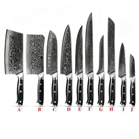 Amszl Ensemble de 5 couteaux de chef de cuisine 67 couches en acier damas avec manche G10 Santoku Utulity Cleaver Support magnétique inclus