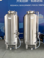 CARRY 100L 1BBL 200L 300L Réservoir de bière brillante en acier inoxydable Réservoir de bière artisanale Briter BBT Glycol Jacket Réservoir de stockage à vendre