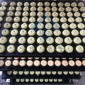 Macchina per l'imballaggio di <span class=keywords><strong>biscotti</strong></span> per animali domestici e <span class=keywords><strong>biscotti</strong></span> normali, prodotta in Cina - Product Image 5