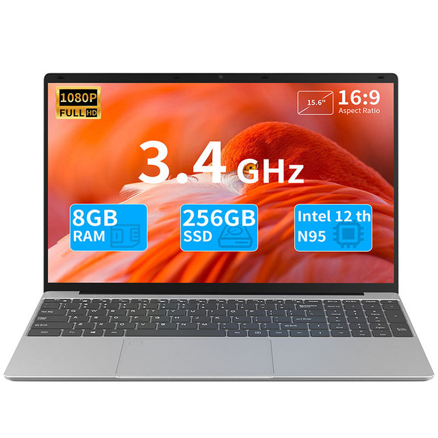 Factory Wholesales Cheapest Laptops 15.6 inch Intel Lake N95 FHD Display 8+256GB Laptop Win 11