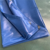 Bâche de camping robuste, imperméable et ignifuge, grande taille, pour usage extérieur, en PVC laminé 500 g/m², pour garçons et filles