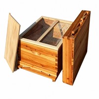Colmena de abejas de abeto chino con revestimiento de cera, juego completo, colmena estándar con cuadros de panal, equipo de apicultura al por mayor