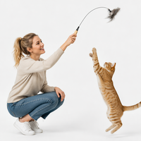 YR J-103 Baguette de chat en bois massif avec corde, longue perche, plumes et clochette, têtes interchangeables, jouets souris et oiseaux, parfait pour les animaux de compagnie