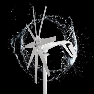 1000W 2000W Wind 12V 24V <b>Motor</b> Quick Start Home Farm Hybrid Street Light with MPPT <b>Controller</b> - Product Image 2