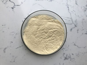 Stichopus Variegatus Semper Source Polvo de extracto de pepino de mar liofilizado hidrolizado - Product Image 6